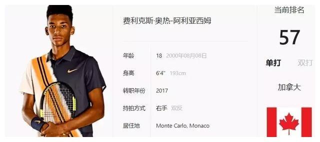 武器皮肤或 武器皮肤或